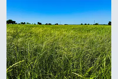 Tbd Cr 204, Valley View, TX 76272 - Photo 3