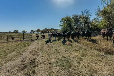 15675 County Road 4024, Kemp, TX 75143 - Photo 29
