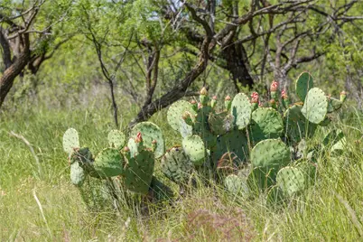 7582 Fm 2652, Loving, TX 76460 - Photo 39