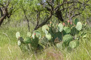 7582 Fm 2652, Loving, TX 76460 - Photo 39