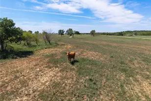 7582 Fm 2652, Loving, TX 76460 - Photo 25