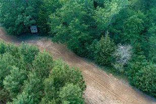 600 Anderson County Road 2805, Tennessee Colony, TX 75861 - Photo 1