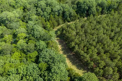 600 Anderson County Road 2805, Tennessee Colony, TX 75861 - Photo 17