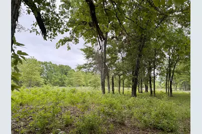 Lot 25 Rains County Road 2610, Alba, TX 75410 - Photo 11