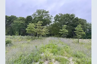 Lot 25 Rains County Road 2610, Alba, TX 75410 - Photo 7