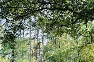 483 Co Rd 2140, Quitman, TX 75783 - Photo 33