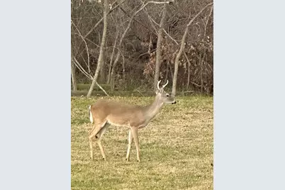 19470 County Road 4072, Kemp, TX 75143 - Photo 11