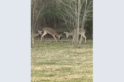 19470 County Road 4072, Kemp, TX 75143 - Photo 9