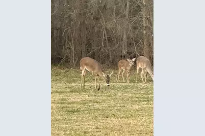 19470 County Road 4072, Kemp, TX 75143 - Photo 7