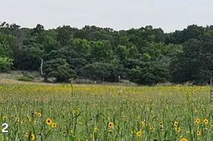 130 County Road 265 Tbd Rd, Priddy, TX 76870 - Photo 25