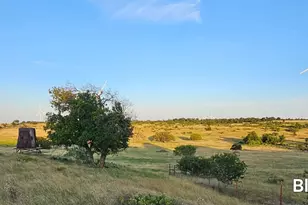 130 County Road 265 Tbd Rd, Priddy, TX 76870 - Photo 33