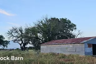 130 County Road 265 Tbd Rd, Priddy, TX 76870 - Photo 27