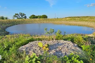 130 County Road 265 Tbd Rd, Priddy, TX 76870 - Photo 29