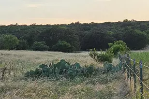 130 County Road 265 Tbd Rd, Priddy, TX 76870 - Photo 17