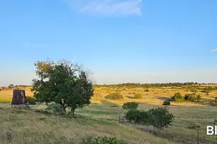 130 County Road 265 Tbd Rd, Priddy, TX 76870 - Photo 21