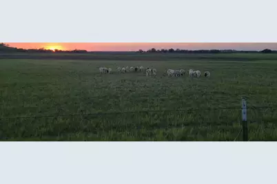 130 County Road 265 Tbd Road, Priddy, TX 76870 - Photo 37