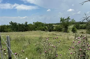 130 County Road 265 Tbd Rd, Priddy, TX 76870 - Photo 11