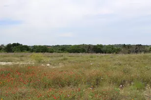 Lot 68 Mason Ct, Dublin, TX 76446 - Photo 1