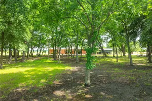 462 Co Rd 3335, Ladonia, TX 75449 - Photo 29