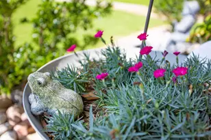 410 3rd St, Whitesboro, TX 76273 - Photo 35