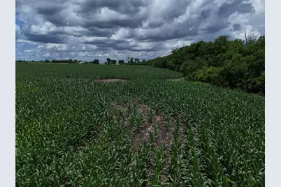00203 Fm 2675, Enloe, TX 75432 - Photo 13
