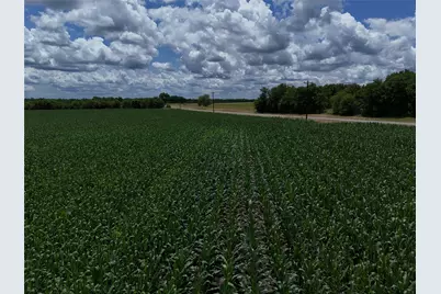 00203 Fm 2675, Enloe, TX 75432 - Photo 17