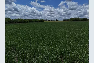 00203 Fm 2675, Enloe, TX 75432 - Photo 11