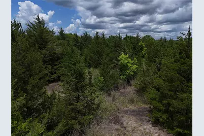 00203 Fm 2675, Enloe, TX 75432 - Photo 9