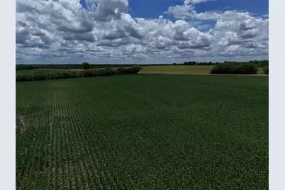 00203 Fm 2675, Enloe, TX 75432 - Photo 15