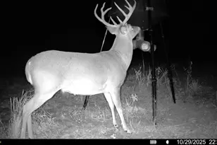 1932 Co Rd 222, Gainesville, TX 76240 - Photo 37