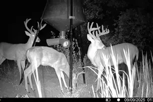 1932 Co Rd 222, Gainesville, TX 76240 - Photo 15
