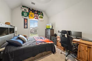3900 Brazoria Dr, Prosper, TX 75078 - Photo 29