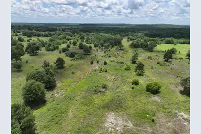 3843 Fm 1256, Eustace, TX 75124 - Photo 5