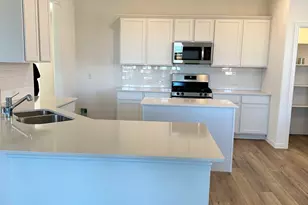 1008 Chip St, Little Elm, TX 75068 - Photo 3