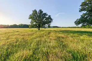 923 Natty Flat Rd, Lipan, TX 76462 - Photo 31