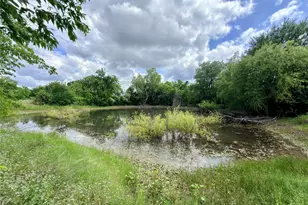 9326 NW County Rd 1343, Blooming Grove, TX 76626 - Photo 35