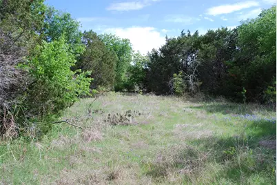 45011 Fringewood Drive, Whitney, TX 76692 - Photo 5