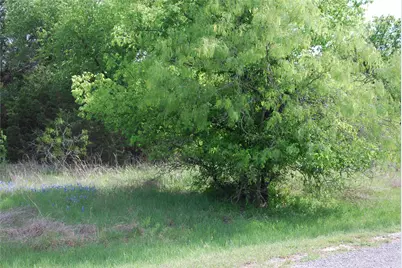 45011 Fringewood Drive, Whitney, TX 76692 - Photo 3