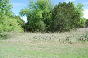 45011 Fringewood Dr, Whitney, TX 76692 - Photo 1