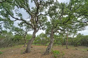 0000 Jim Bridger Dr, Austin, TX 78737 - Photo 23