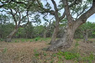 0000 Jim Bridger Dr, Austin, TX 78737 - Photo 21