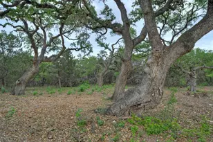 000 Jim Bridger Dr, Austin, TX 78737 - Photo 25