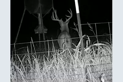 000 US Hwy 82, Sherman, TX 75092 - Photo 11