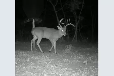 000 US Hwy 82, Sherman, TX 75092 - Photo 13