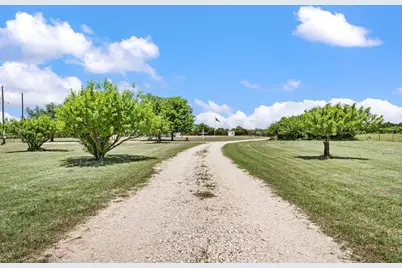 184 County Road 2484, Hico, TX 76457 - Photo 3
