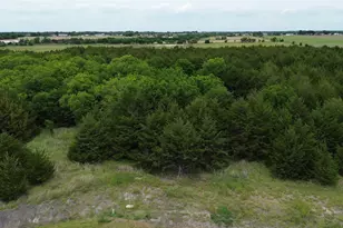 Tbv Evergreen Way, Nevada, TX 75173 - Photo 1
