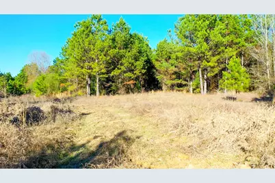 Tbd Hwy 49, Jefferson, TX 75657 - Photo 7
