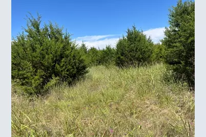 707 County Road 426, Purmela, TX 76566 - Photo 3