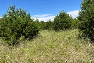 707 Co Rd 426, Purmela, TX 76566 - Photo 3