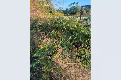 10970 County Road 4020, Kemp, TX 75143 - Photo 25